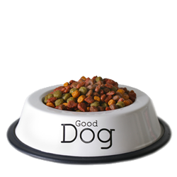 غذای سگ