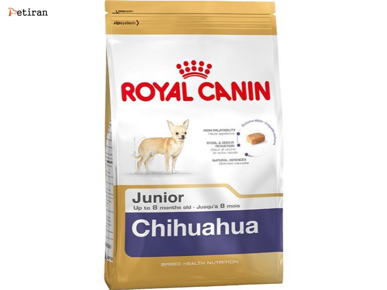 Chihuahua Junior - برای توله سگ های نژاد چی واوا 