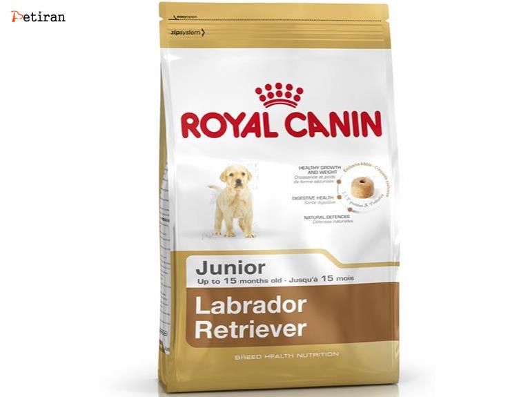 Labrador Retriever Junior - برای توله سگ های نژاد لابرادور رتریور