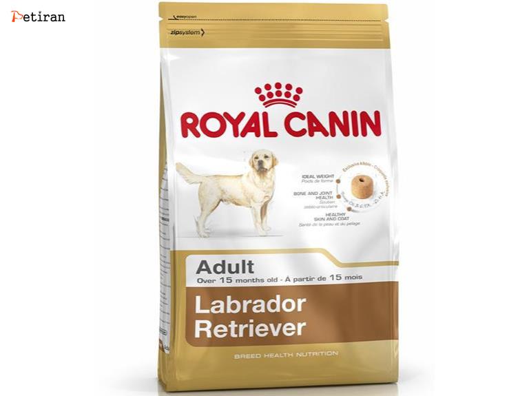 Labrador retriever Adult - برای سگ های بالغ نژاد لابرادور رتریور