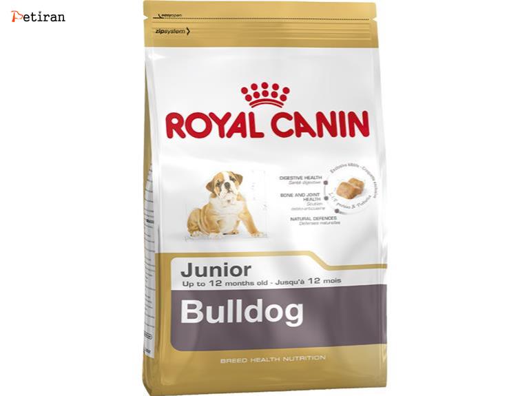 Bulldog Junior - برای توله سگ های نژاد بولداگ