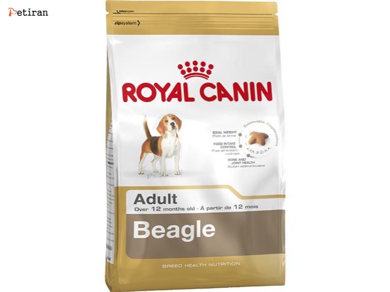 Beagle Adult - برای سگ های بالغ نژاد بیگل