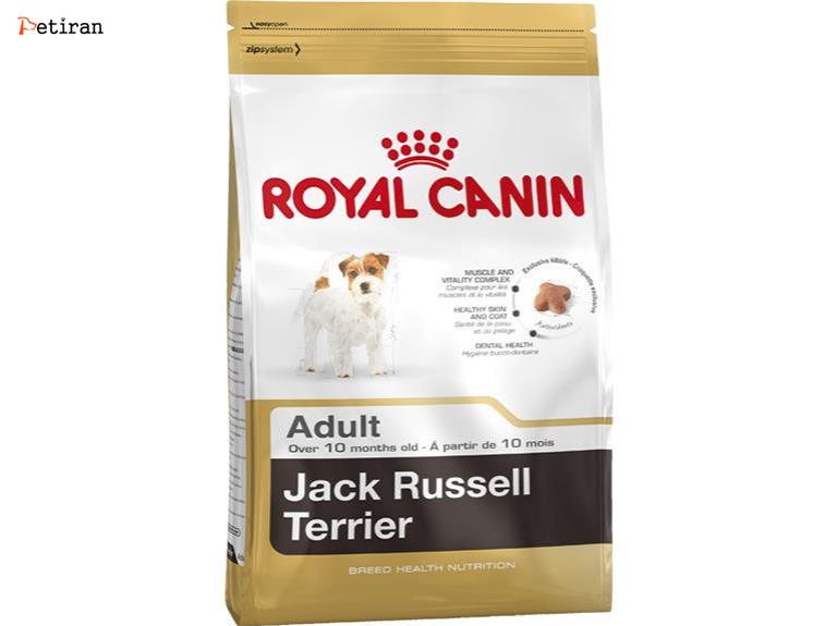 Jack Russel Terrier - برای سگ های بالغ نژاد لریر جک راسل