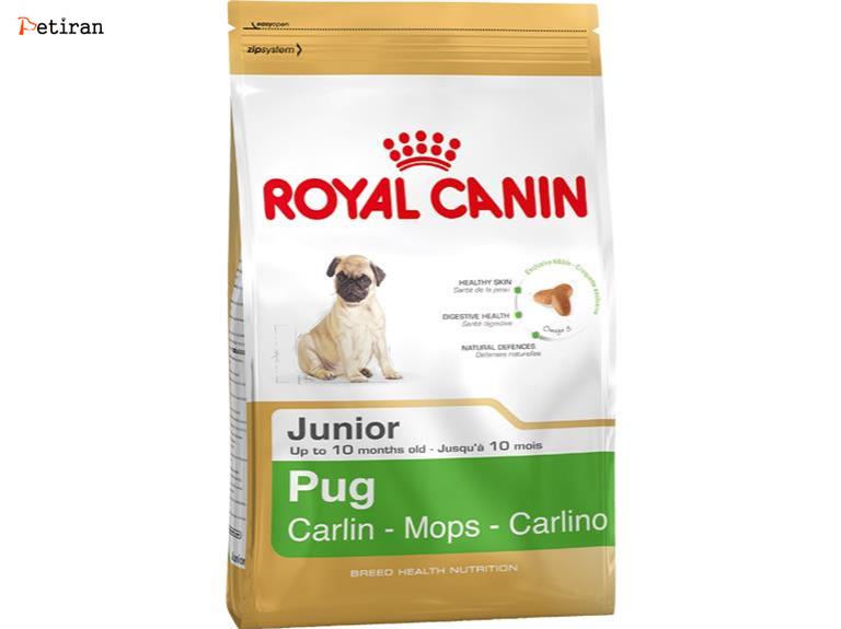 Pug Junior - برای نوله سگ های نژاد پاگ 