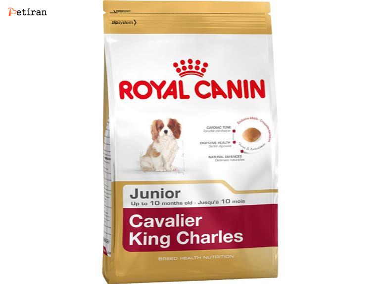 Cavalier King Charles Junior - برای توله سگ های نژاد کاوالییر کینگ چارلز