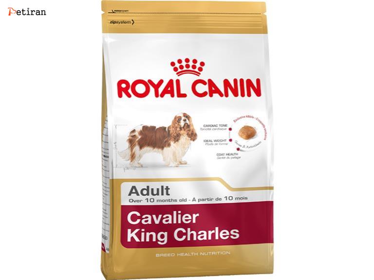 Cavalier King Charles Adult - برای سگ های بالغ نژاد کاوالییر کینگ چارلز