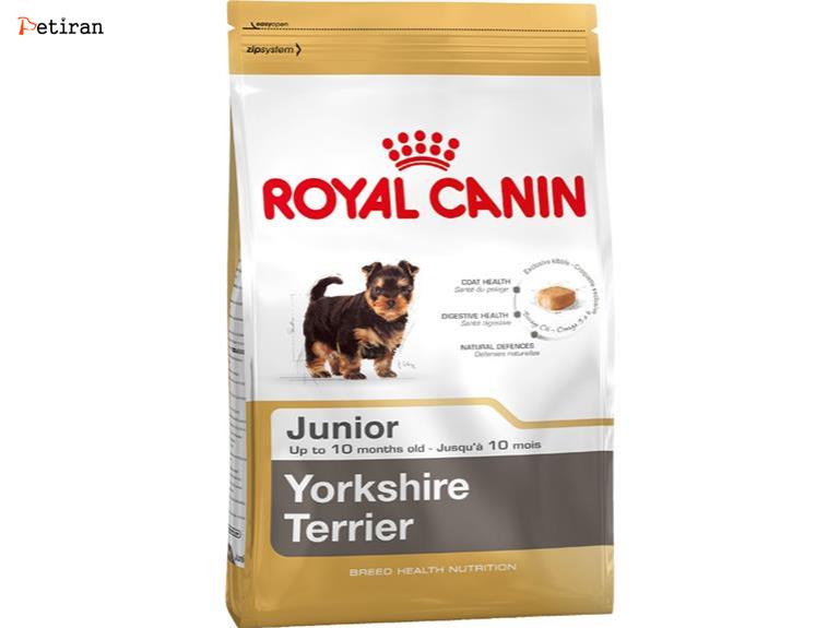 Yorkshire Terrier Junior - برای توله سگ های نژآد یورکشایر تریر