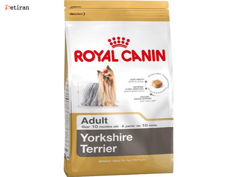Yorkshire Terrier Adult - برای سگ های بالغ نژاد یورکشایر تریر
