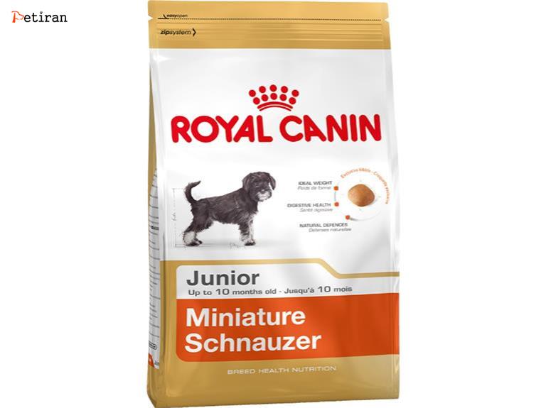 Miniature Schnauzer Junior - برای نوله سگ های شنوزر مینیاتوری