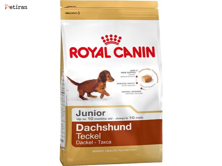 Dachshund Junior - برای توله سگ های داچهوند