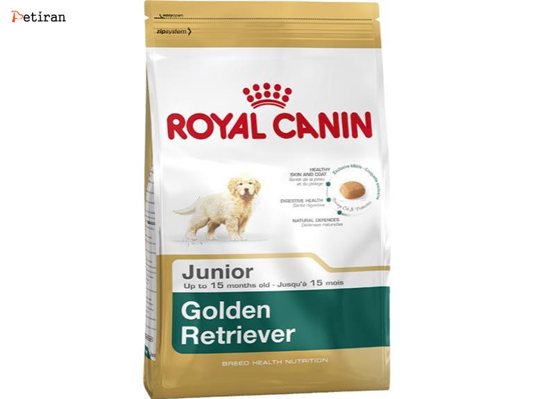Golden Retriever Junior - برای توله سگ های رتریور طلایی