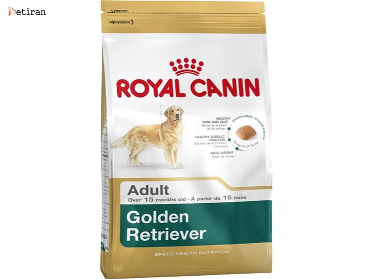 Golden Retriever Adult - برای سگ های بالغ نژاد رتریور طلایی