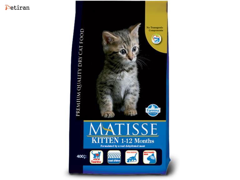 ماتیس مخصوص بچه گربه